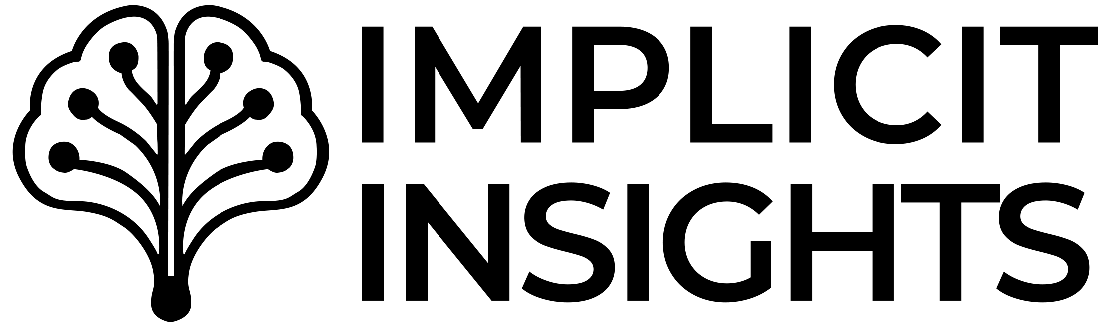 Logo Implicit Insights Strategic Technologies Ltd.